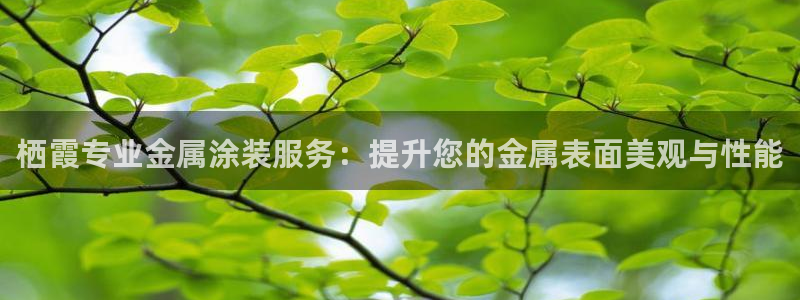美高梅酒店中国店位置