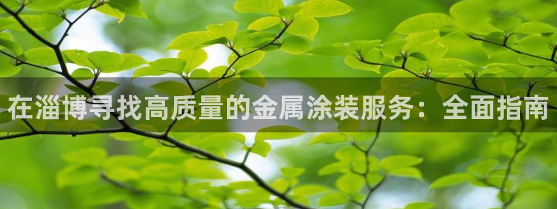美高梅最大筹码