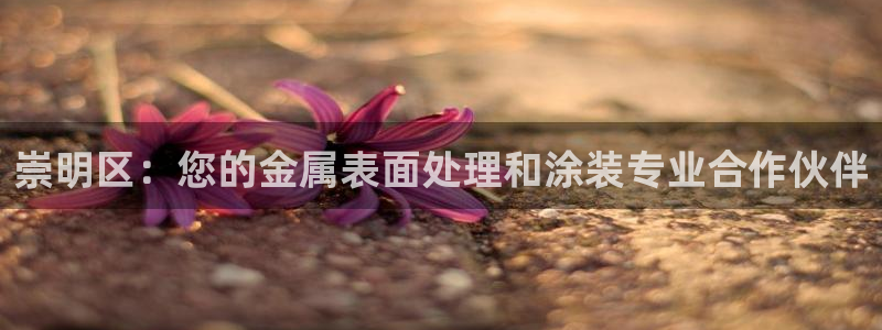 美高梅何超琼多少股份