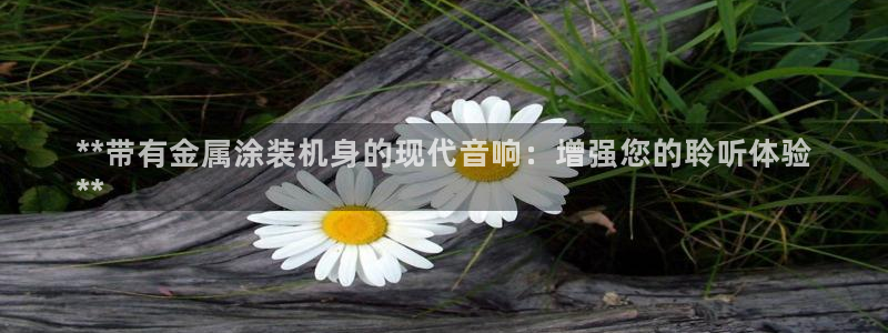 美高梅空气炸锅怎么样好用吗