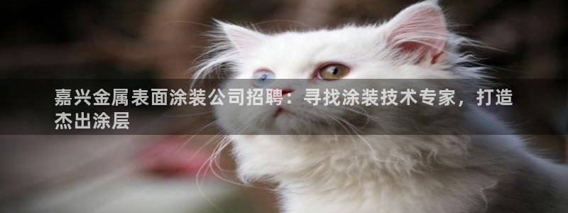 美高梅游戏官网app可以玩吗