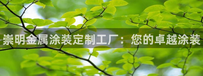 美高梅有提现成功的吗