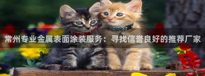 美高梅酒店全年自助