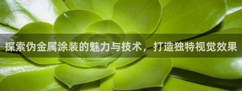 美高梅黑我钱怎么办