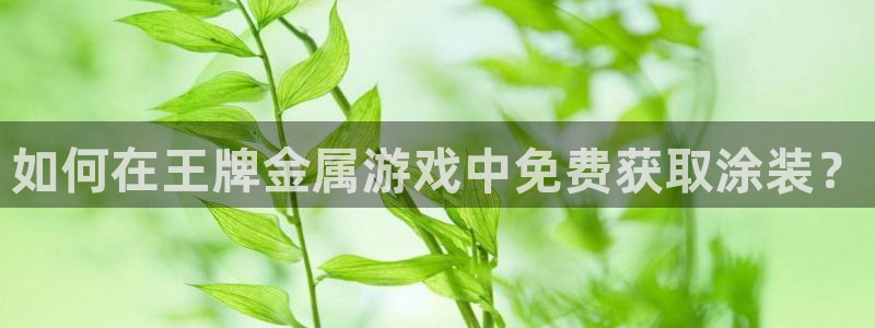 美高梅公司的业务范围