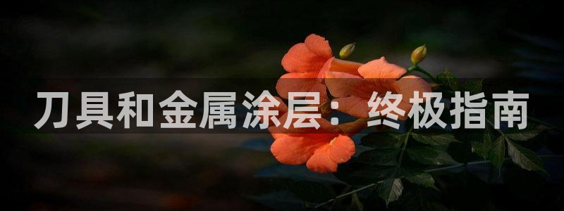 为什么我的美高梅网页上不了