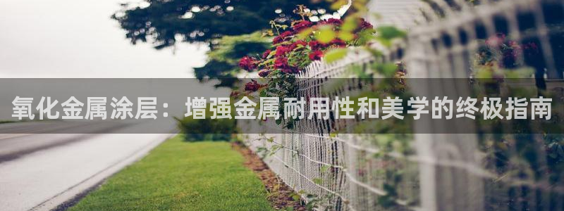 美高梅官网了