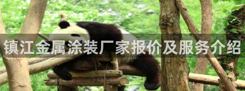 美高梅筹码颜色对应面值