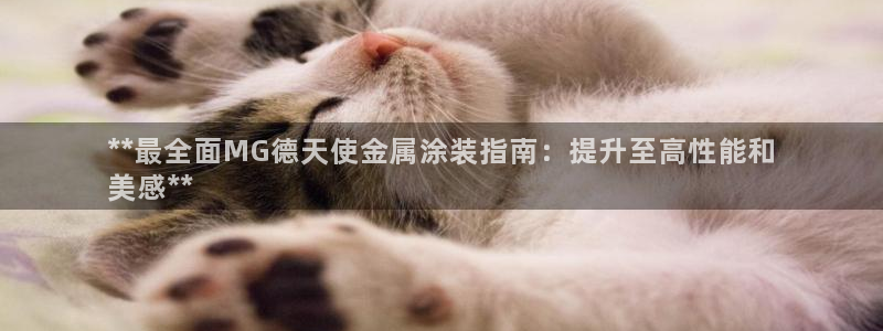 美高梅尊贵卡值多少钱