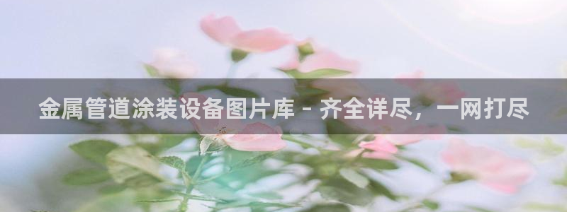 美高梅会员卡有什么用