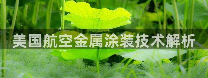 美高梅是何超琼创立的吗