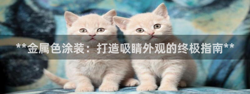 美高梅狮王会员卡