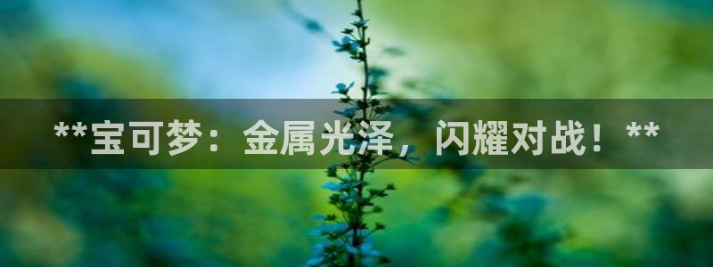 美高梅大酒店中国