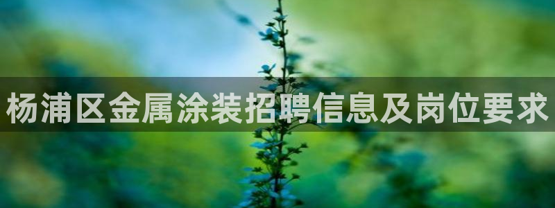 美高梅会员卡积分规则是什么