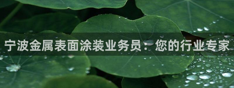 美高梅卡颜色等级