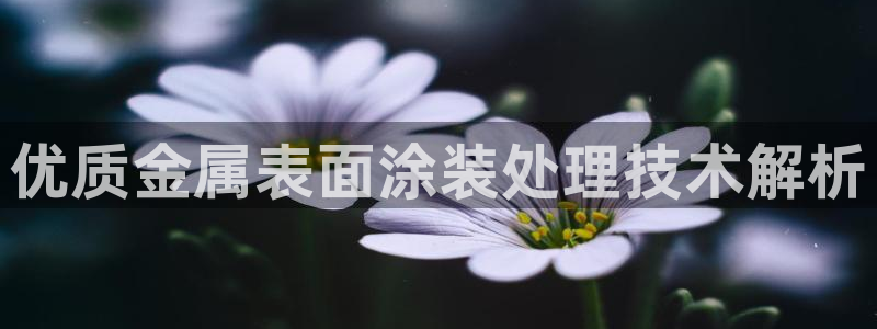 美高梅国际酒店集团的总部位于哪里