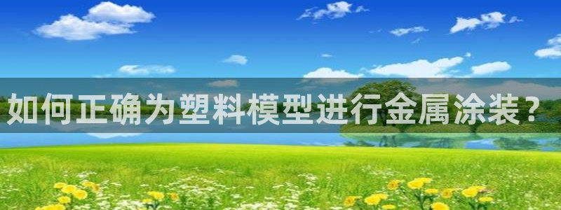 美高梅控股有限公司