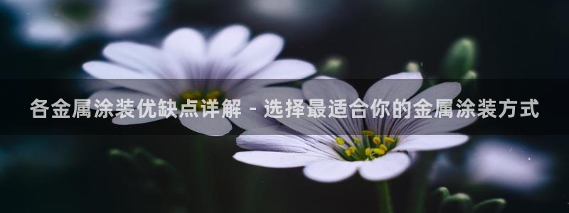 美高梅大酒店拉斯维加斯