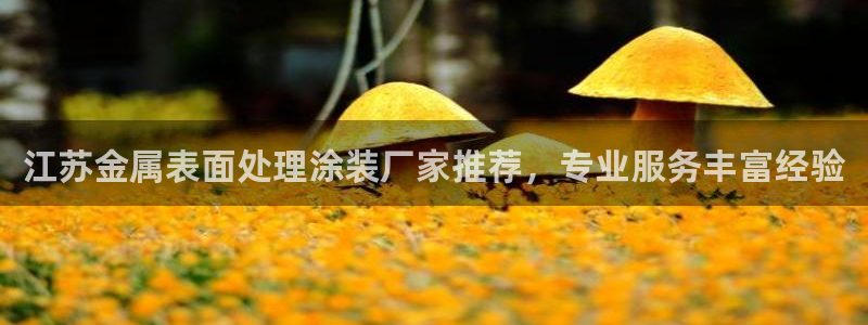 美高梅会员等级怎么升