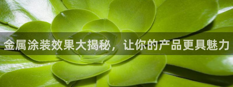 美高梅酒店工资怎么样