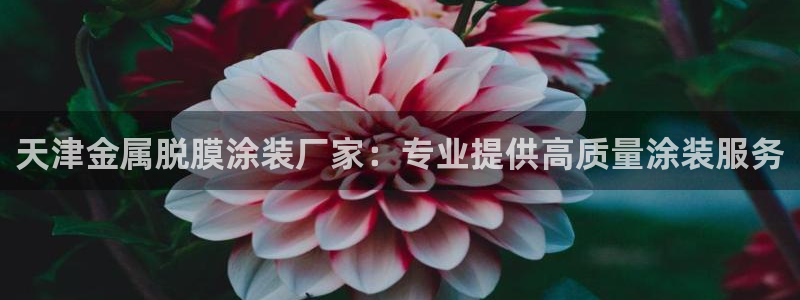 美狮美高梅淳餐厅