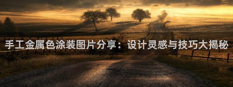 美高梅公司的业务范围