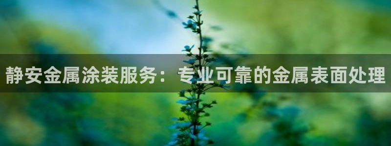 美高梅会员卡多少钱