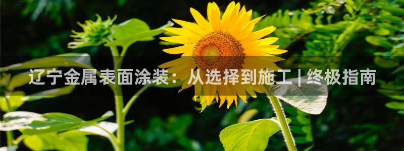 美狮美高梅美食