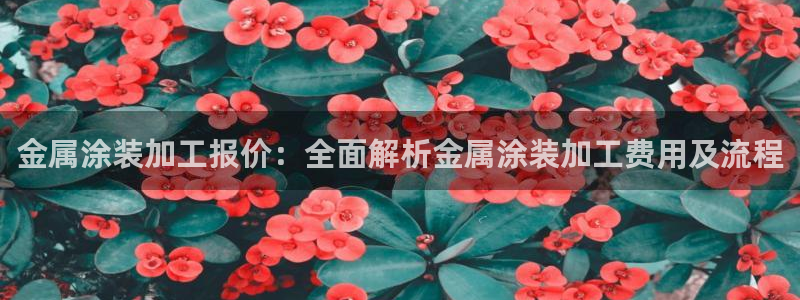 美高梅酒店房间