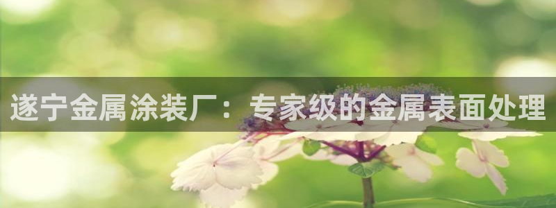 美高梅酒店的星级介绍