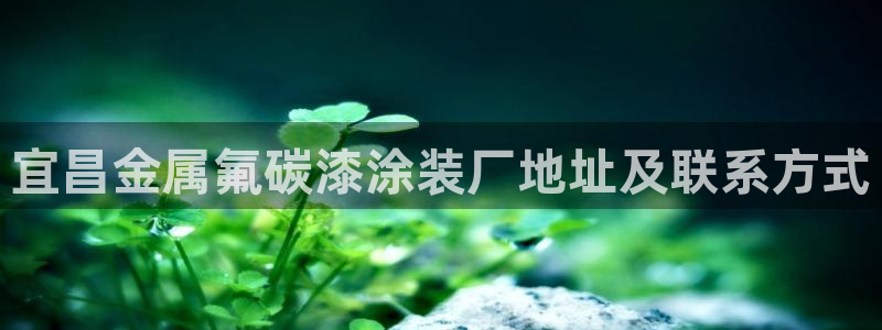 美狮美高梅酒店双尸案