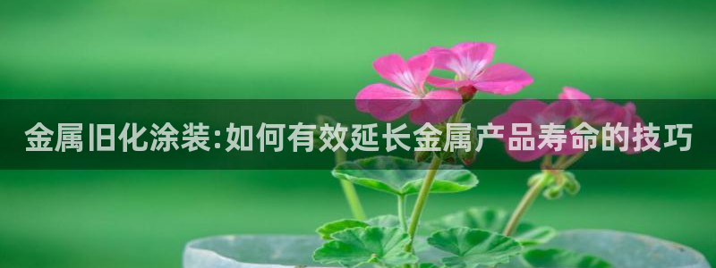美高梅 海上城堡