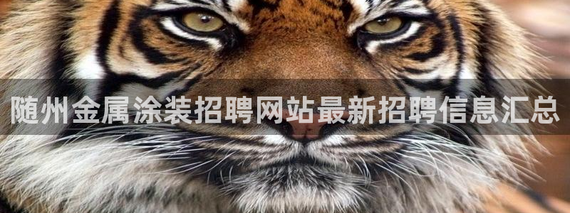美高梅是哪个国家的品牌