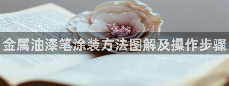 美狮美高梅酒店有什么品牌专卖店