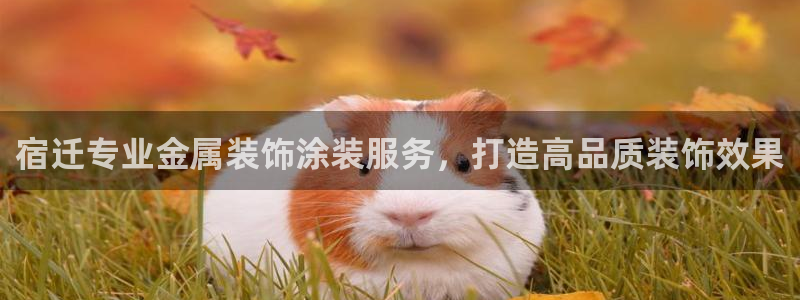 美高梅空中海洋秀到底在哪个地方