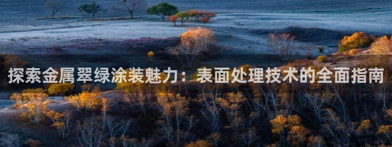 美高梅是做什么的澳门何超琼