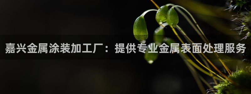 美高梅酒店集团的创始人