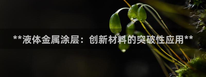 美高梅酒店有什么好玩的
