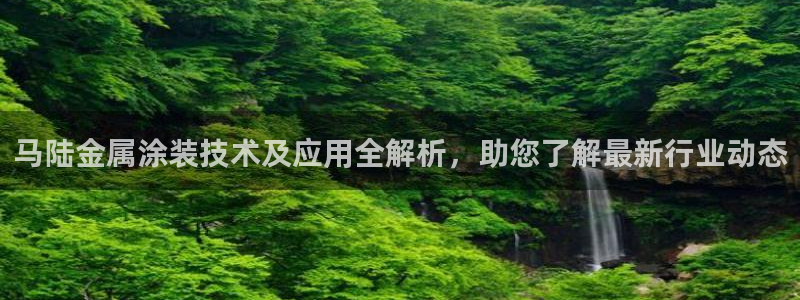 美高梅何超琼年薪